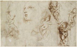 A Female Head for Borghese-Beckford St Catherine and Various Putti by Raffaello Sanzio Raphael